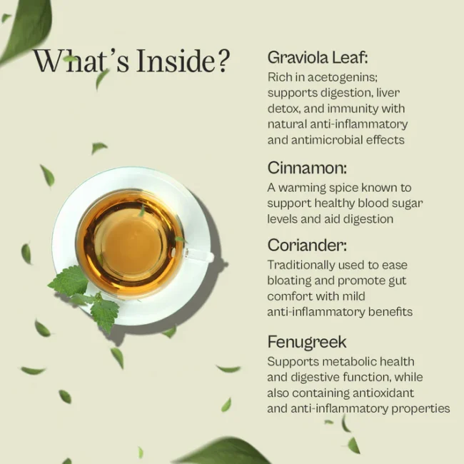 Detox Tea Pure Graviola Herbal Tea Blend - Image 3