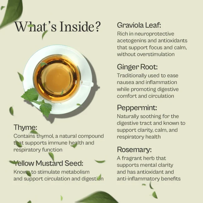 Focus Tea Pure Graviola Herbal Tea Blend - Image 3