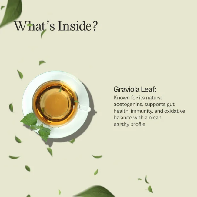Graviola Tea Loose Leaf 2 oz. - Image 4