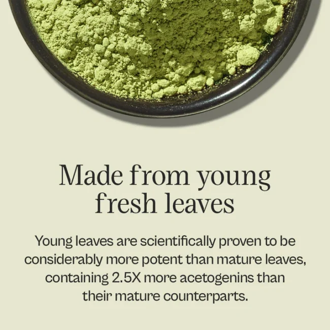 Graviiola + Shilajit Superfood Supplement Capsules - Image 6