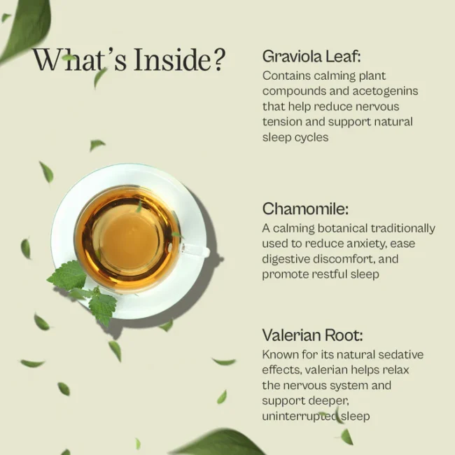 Sleep Tea Pure Graviola Herbal Tea Blend - Image 3
