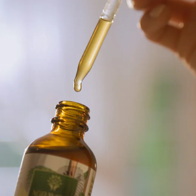 Graviola Leaf Tincture - Image 6