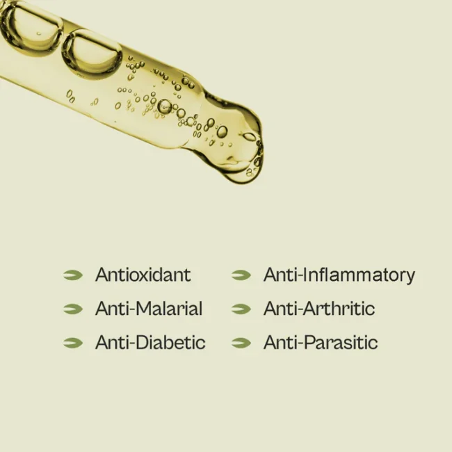 Graviola Leaf Tincture - Image 4
